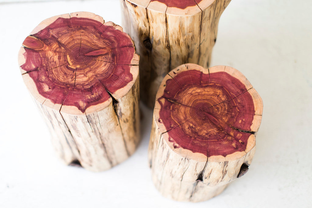 Tree-Stump-Tables-Natural-01
