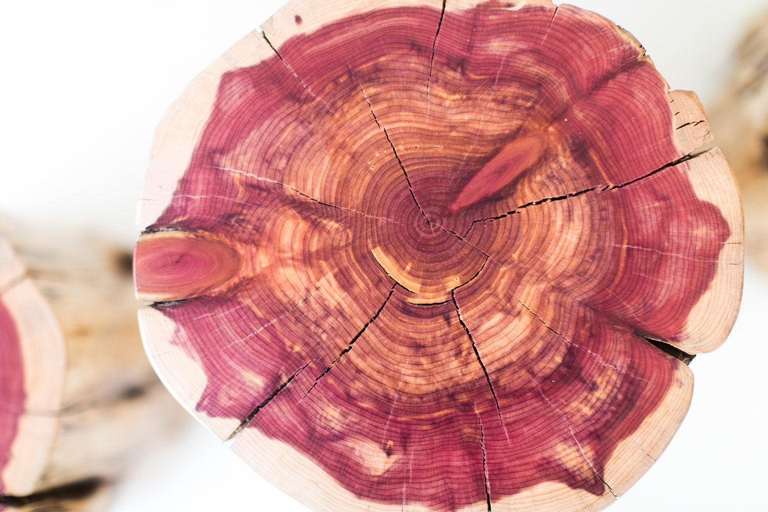 Tree-Stump-Tables-Natural-06