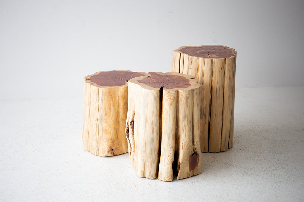 Modern-Side-Table-13_-Diameter-Natural-Stump-02